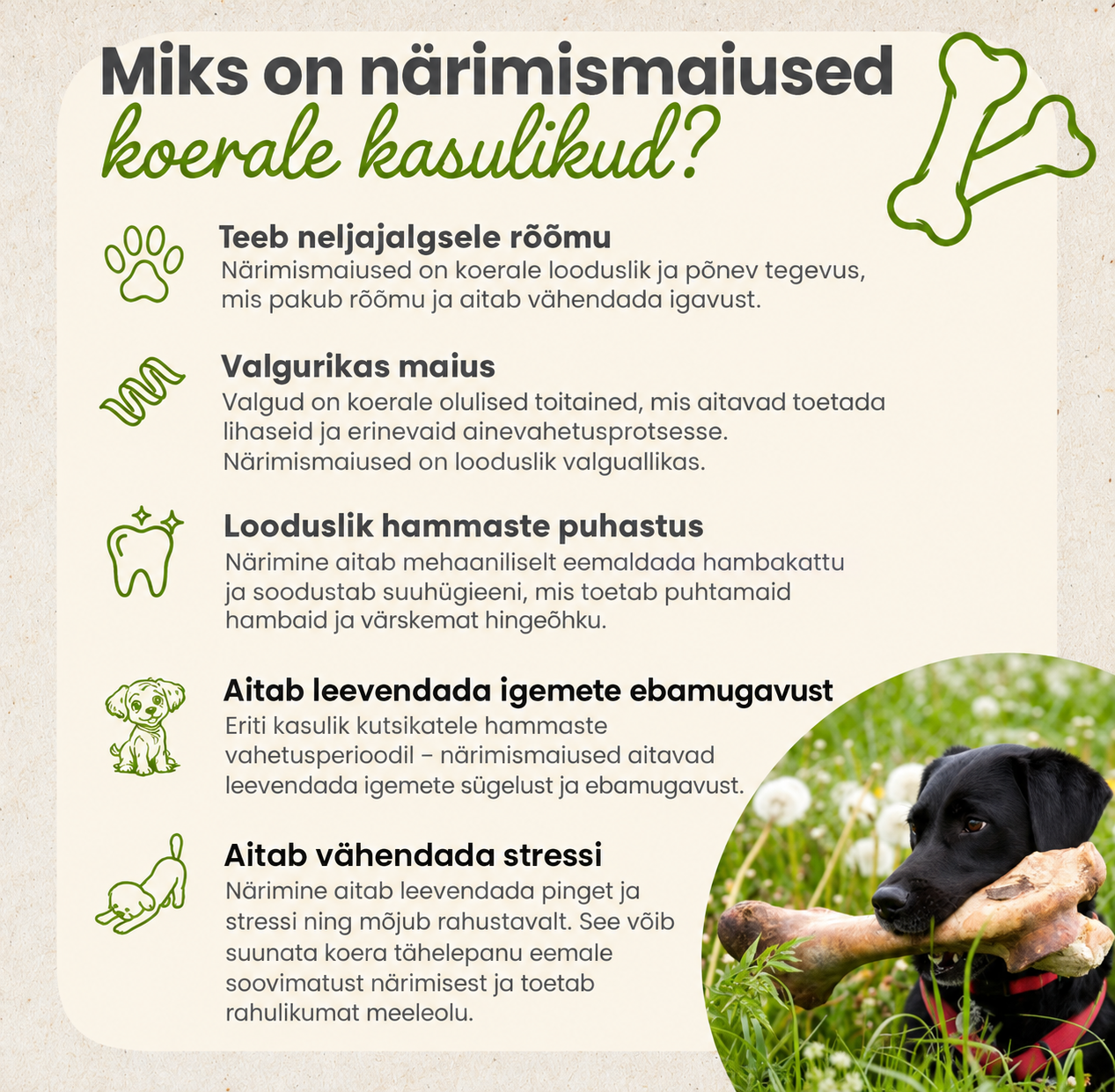 Veisekõrv lihaga 10 tk / kott - Pilt 3