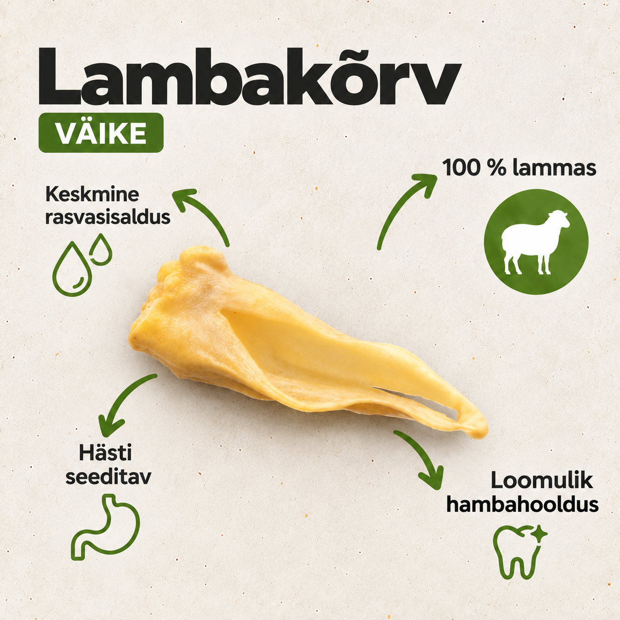 Lambakõrv, väike/ tk - Pilt 2