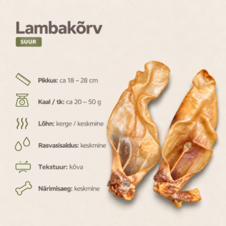 Lambakõrv, suur/ tk