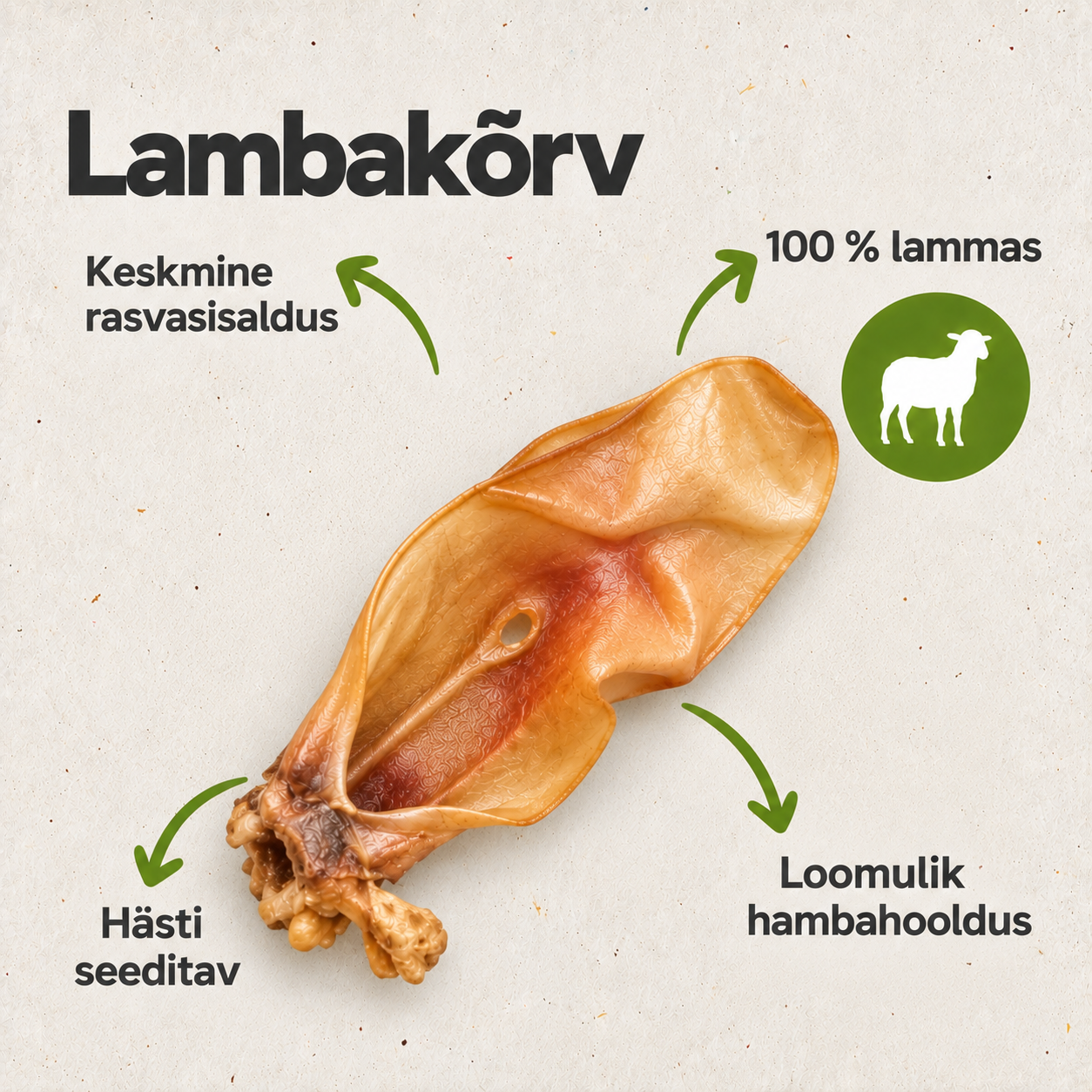Lambakõrv, suur/ tk - Pilt 2