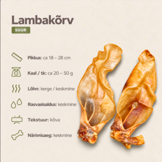 Lambakõrv, suur/ tk