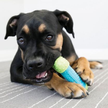 KONG CORESTRENGTH BONE - MEDIUM - Image 2
