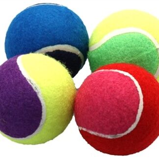 Tennispall koerale