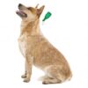 Beaphar VETO-Pure Spot-on parasiitide vastased tilgad kuni 15kg koer, 1tk - Image 2