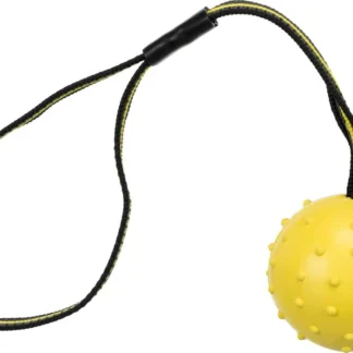 Mänguasi koertele Spordipall rihmaga, looduslikust kummist, ø 6 × 35 cm