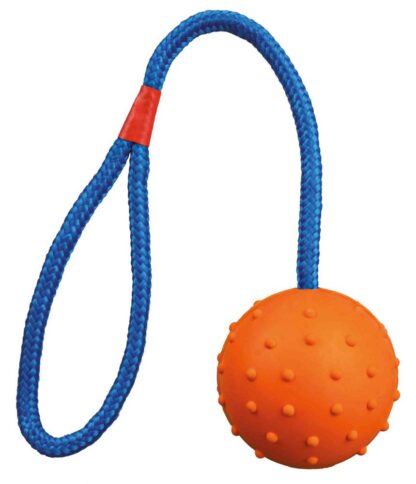 Koera mänguasi pall nööriga, looduslikust kummist, ø 6 × 30 cm