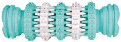 Koera mänguasi Denta Fun Mintfresh bone 11cm