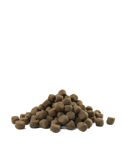 Opti Life PRIME Adult Salmon All Breeds - Image 2