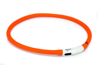 BEEZTEES KAELARIHM DOGINI LED+USB - Image 3