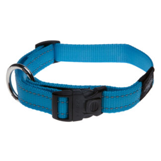 Kaelarihm Fanbelt 20mm/34-56cm türkiissinine