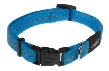 Kaelarihm Rogz Nitelife 11mm/20-31cm türkiissinine