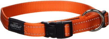 Kaelarihm Fanbelt 20mm/34-56cm, oranz