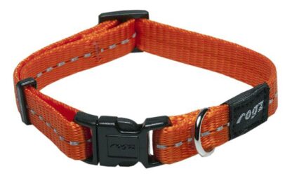 Kaelarihm Rogz Nitelife 11mm/20-31cm oranž