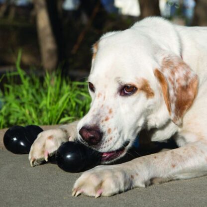 KONG GOODIE BONE MUST, L - Image 3