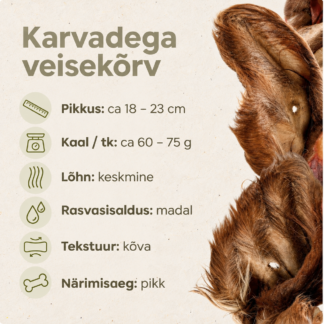 karvadega veisekõrv koerale