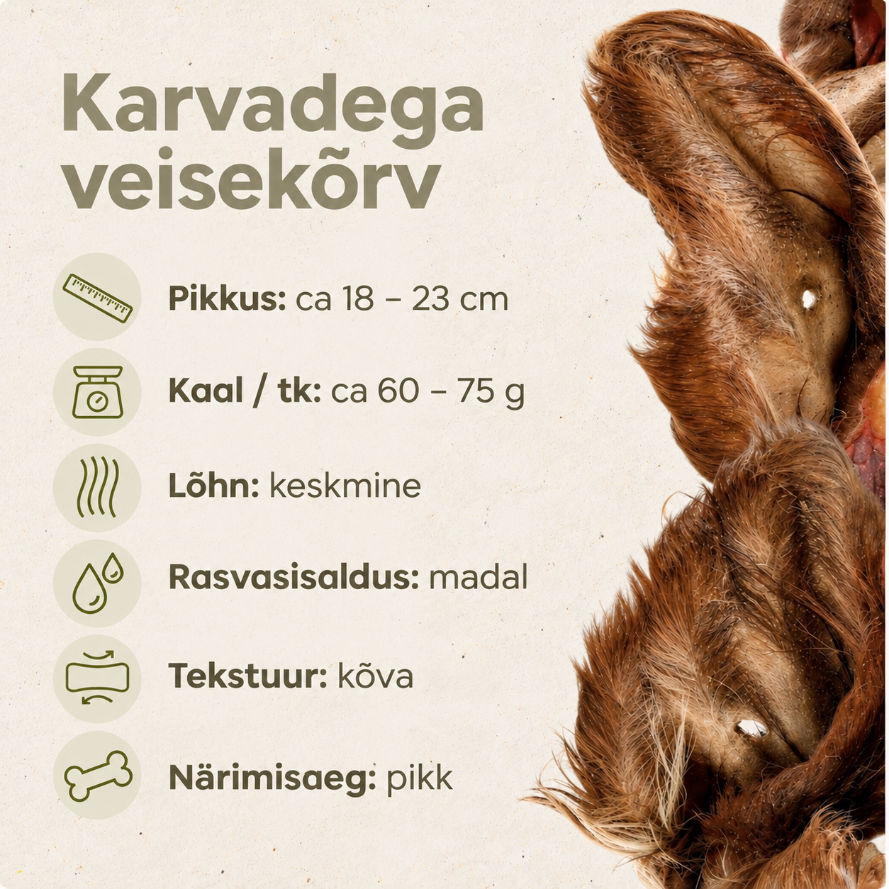 karvadega veisekõrv koerale