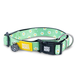 Max&Molly Smart ID Collar – Margarite