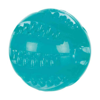 Mänguasi koertele DentaFun Pall 6cm ujuv 6cm