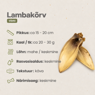 Lambakõrv, väike/ tk